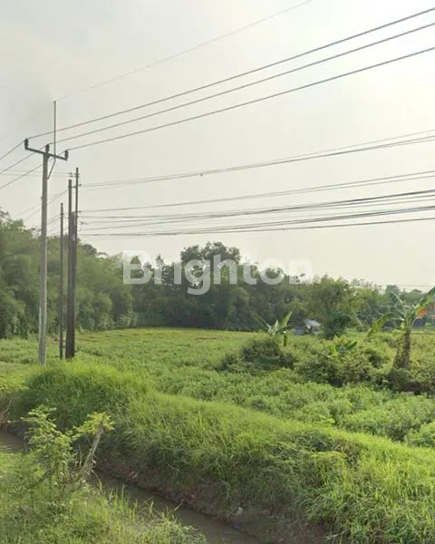 image TANAH DIJUAL DAERAH CEMPAKA CIREBON (3)