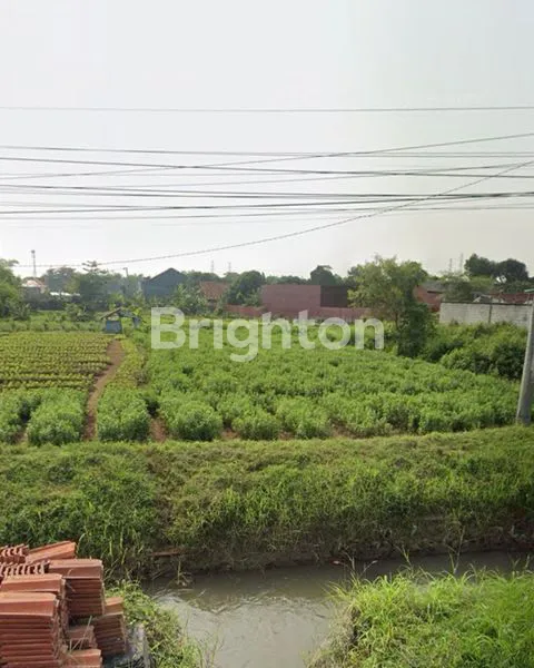 image TANAH DIJUAL DAERAH CEMPAKA CIREBON (4)