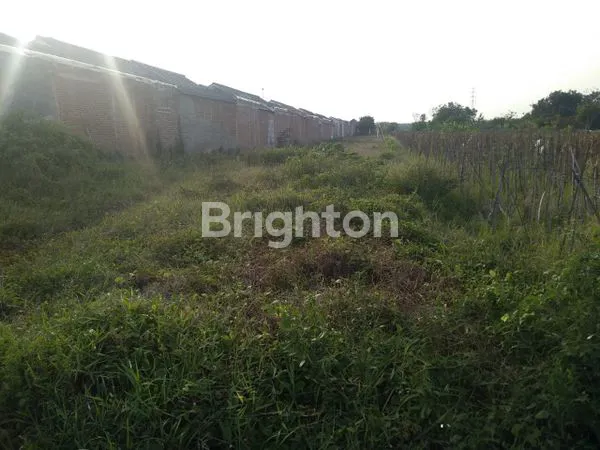 TANAH DIJUAL DAERAH TENGAH TANI CIREBON