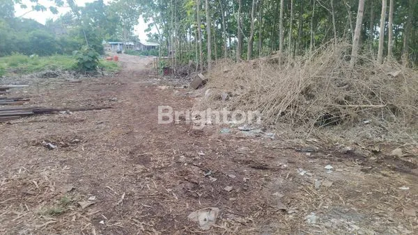 image GREAT INVESTMENT OPPORTUNITY READY TO BUILD LAND IN KUTUH (2)