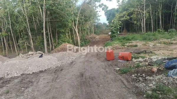 GREAT INVESTMENT OPPORTUNITY READY TO BUILD LAND IN KUTUH
