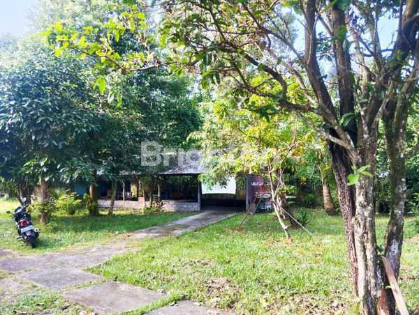 image DIJUAL TANAH DAN BANGUNAN COCOK UNTUK DI BANGUN VILLA DI PENEBEL, TABANAN : (3)