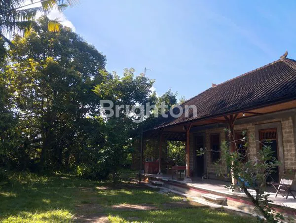 image DIJUAL TANAH DAN BANGUNAN COCOK UNTUK DI BANGUN VILLA DI PENEBEL, TABANAN : (11)