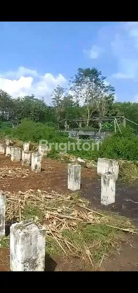 image JUAL TANAH 8400 MTR EX TERNAK AYAM (3)