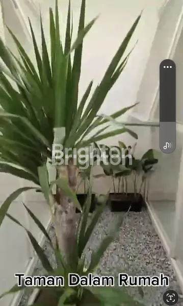 image RUMAH 1 LANTAI BAGUS CANTIK  (3)