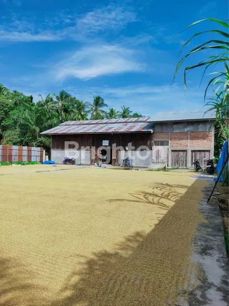 DIJUAL CEPAT PABRIK PADI SIAP OPERASIONAL DI BAGAN SIAPI API