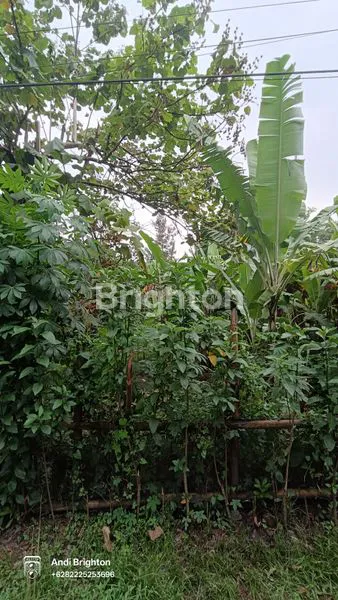 image TANAH PEKARANGAN SIAP BANGUN DI BARENG JOMBANG (6)