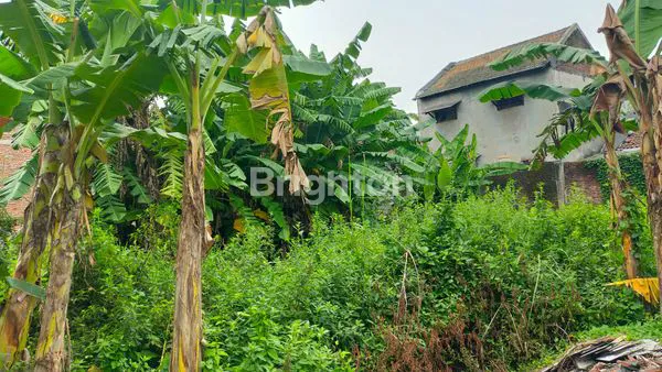 image TANAH DI JUAL  (4)