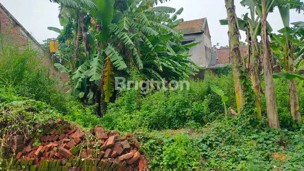 image TANAH DI JUAL  (3)