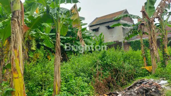 image TANAH DI JUAL  (2)