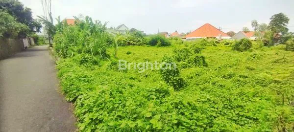 TANAH 1.000 M2 DI TIBUBENENG - LOKASI PREMIUM DEKAT CANGGU | SIAP BANGUN & AKSES MUDAH