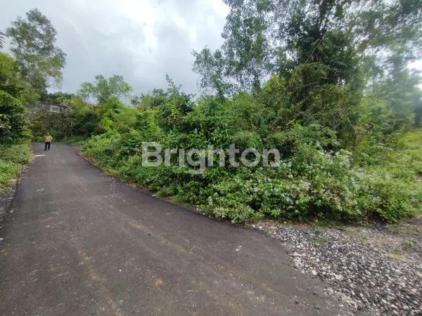 image TANAH SIAP BANGUN DHARMAWANGSA UNGASAN 200M² (7)