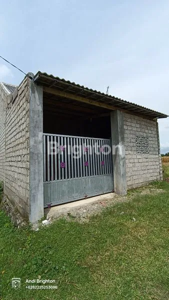 image RUMAH MINIMALIS DI SUKOIBER GUDO JOMBANG (1)