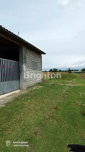 image RUMAH MINIMALIS DI SUKOIBER GUDO JOMBANG (4)