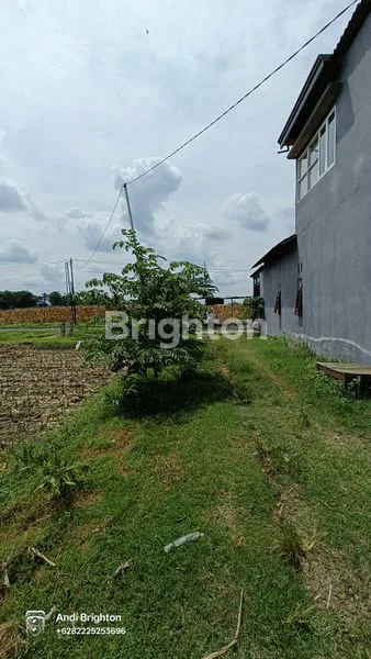 image RUMAH MINIMALIS DI SUKOIBER GUDO JOMBANG (5)