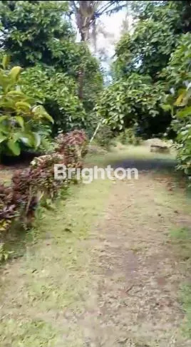 image TANAH 1,2 HA VIEW SPEKTAKULER DI TABANAN (2)