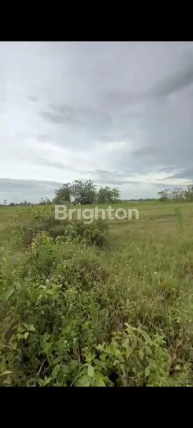 image TANAH CILENGSIH LUAS 1 HA (2)