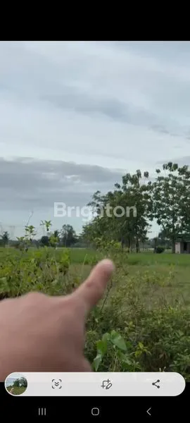 image TANAH CILENGSIH LUAS 1 HA (4)