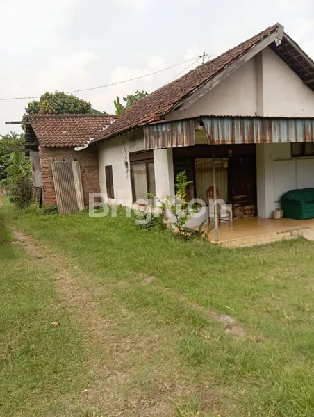 image DISEWAKAN RUMAH LUAS PARE FLAMBOYAN (2)