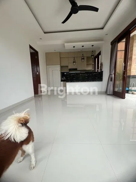 image VILLA JL.PENYARINGAN SANUR INTARAN (4)