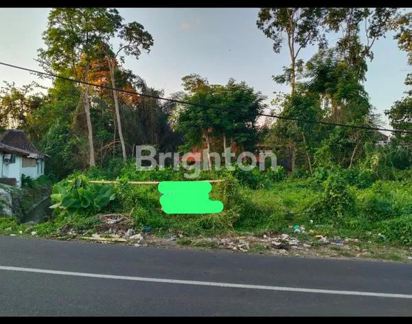 Gambar Property TANAH 400 M2 DI PERBATASAN CANGGU DI SEWAKAN, ZONA KUNING COCOK UNTUK VILLA, RUKO ATAU TOKO, LOKASI STRATEGIS