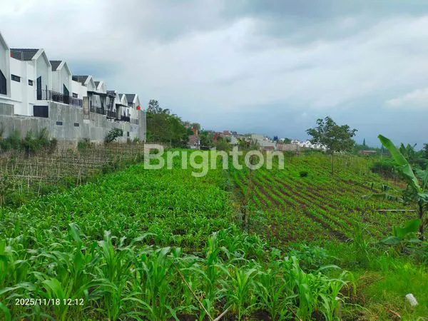 image TANAH MURAH LUAS 1819 M² DI ORO2 OMBO  BATU (1)