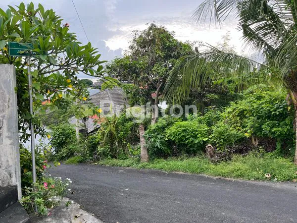 image TANAH UNGASAN (4)