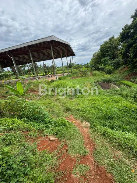 image TANAH 1.3 HA -  BABAT, LEGOK TANGERANG (2)