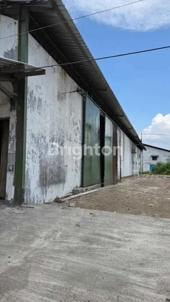 image GUDANG SIAP PAKAI TAMBAK SAWAH BARU RENOVASI LOKASI STRATEGIS (3)