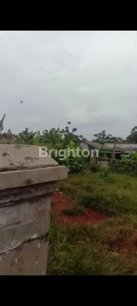 image TANAH LUAS DAERAH BOGOR  (5)
