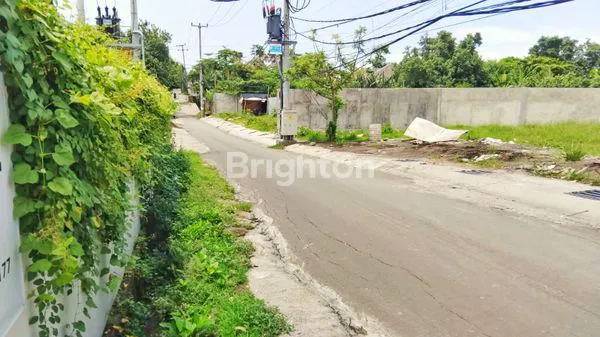 image TANAH 220 M2 DI PERERENAN - AREA PREMIUM CANGGU - KUTA UTARA (4)
