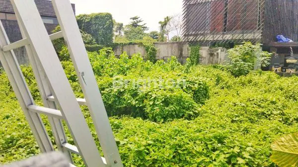 image TANAH 220 M2 DI PERERENAN - AREA PREMIUM CANGGU - KUTA UTARA (2)