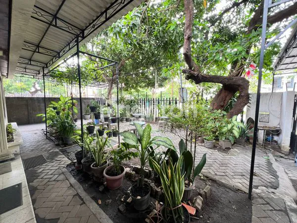 image RUMAH DI JALAN RA KARTINI SURABAYA (8)