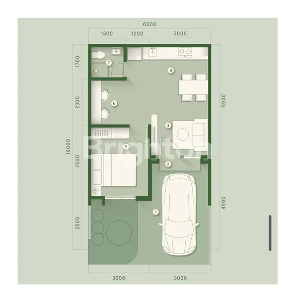 image THE FORESTINE TIPE CEDAR 6A (6X10) (4)