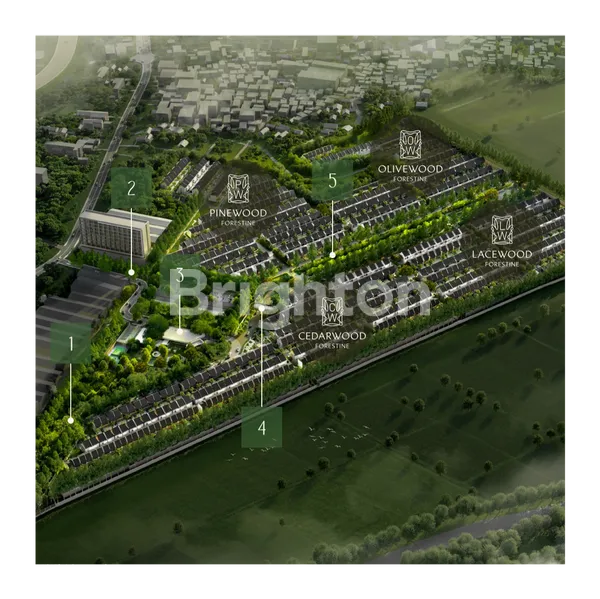 image THE FORESTINE TIPE CEDAR 5 (5X12) (8)