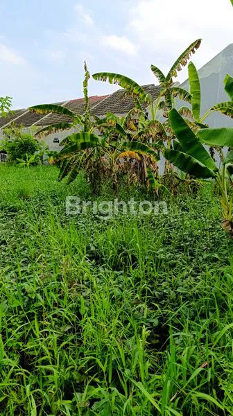 image TANAH SHM 91M² STRATEGIS DI MASANGAN WETAN (1)