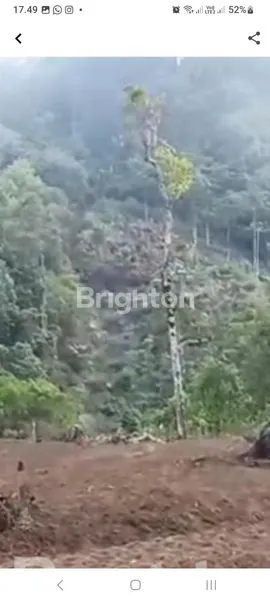 image DIJUAL TANAH DI GESING SINGARAJA (2)