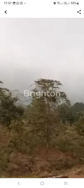 image DIJUAL TANAH DI GESING SINGARAJA (4)