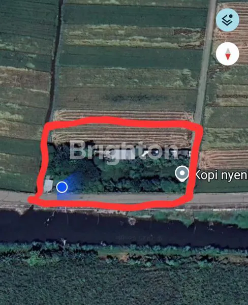 image JUAL: LAHAN KOSONG + TANAH SAWAH AREA MOJOANYAR, KAB. MOJOKERTO (4)