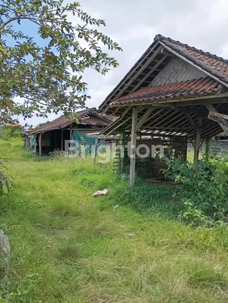 image PELUANG EMAS INVESTASI: TANAH STRATEGIS SHM 1300M² DI JANTUNG DENPASAR, BALI! (1)