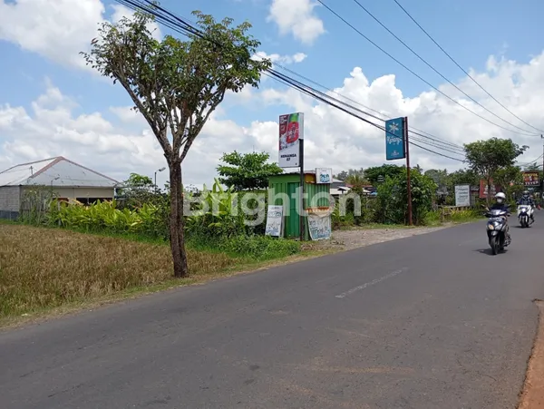 image PELUANG EMAS INVESTASI: TANAH STRATEGIS SHM 1300M² DI JANTUNG DENPASAR, BALI! (3)