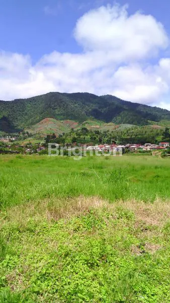 image INVESTASI TANAH 10 HA SHM DI PUNCAK BOGOR (5)