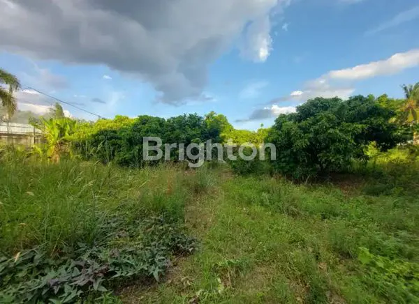 image MEGA ESTATE 1,3 HEKTAR DENGAN 3 RUMAH & 4 KOLAM – INVESTASI BESAR DI KOTA! (3)