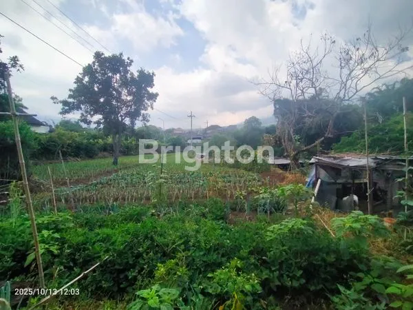 image TANAH LUAS 4.491 M² DI POROS JALAN RAYA SUMBER GONDO – LOKASI STRATEGIS + BONUS RUMAH  (2)