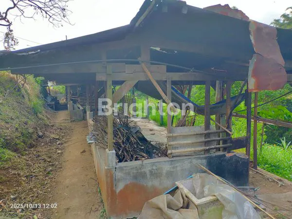 image TANAH LUAS 4.491 M² DI POROS JALAN RAYA SUMBER GONDO – LOKASI STRATEGIS + BONUS RUMAH  (6)