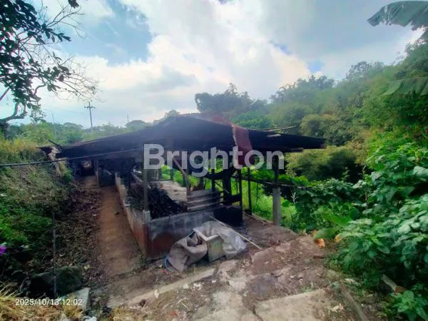 image TANAH LUAS 4.491 M² DI POROS JALAN RAYA SUMBER GONDO – LOKASI STRATEGIS + BONUS RUMAH  (5)