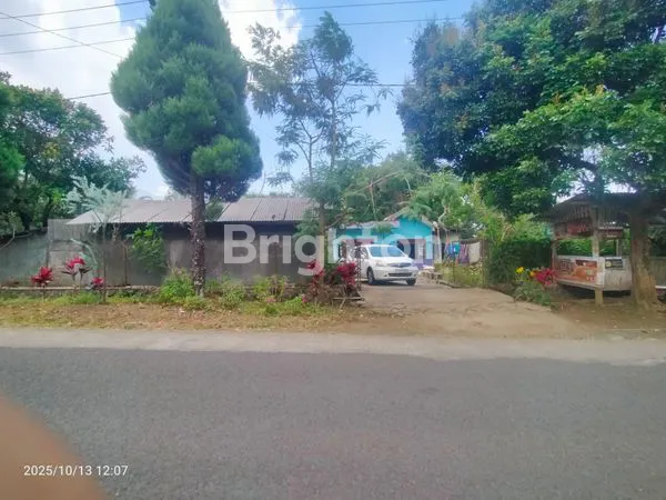 image TANAH LUAS 4.491 M² DI POROS JALAN RAYA SUMBER GONDO – LOKASI STRATEGIS + BONUS RUMAH  (8)