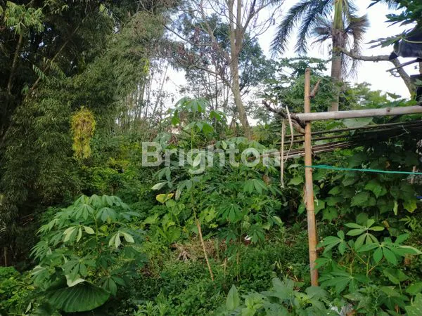 image TANAH LUAS 4.491 M² DI POROS JALAN RAYA SUMBER GONDO – LOKASI STRATEGIS + BONUS RUMAH  (7)