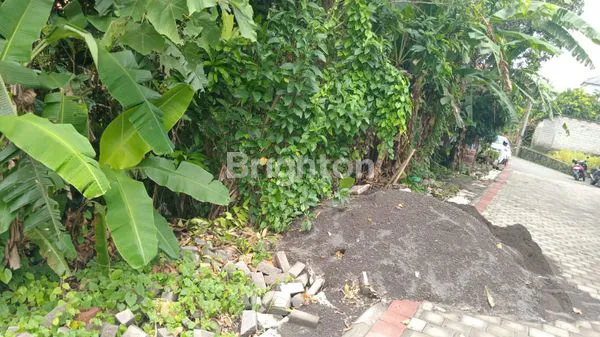 image TANAH LUAS 150M² DI DALUNG, DEKAT KOLAM RENANG (6)