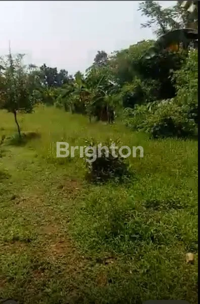 DIJUAL TANAH SUBUR AREA PARUNG OANJANG BOGORJ